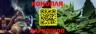 прущие грибы Мариинск